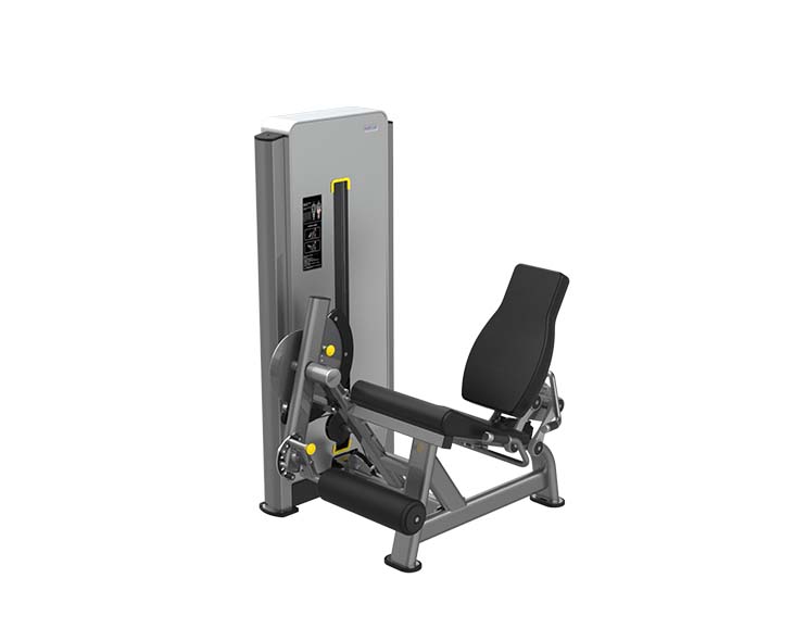 K1724 Leg Extension