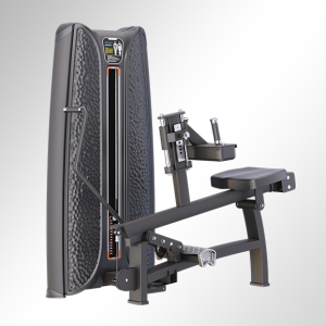 K37A30 Seated Calf