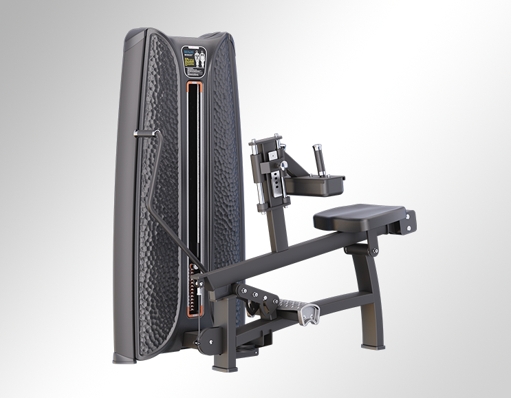 K37A30 Seated Calf
