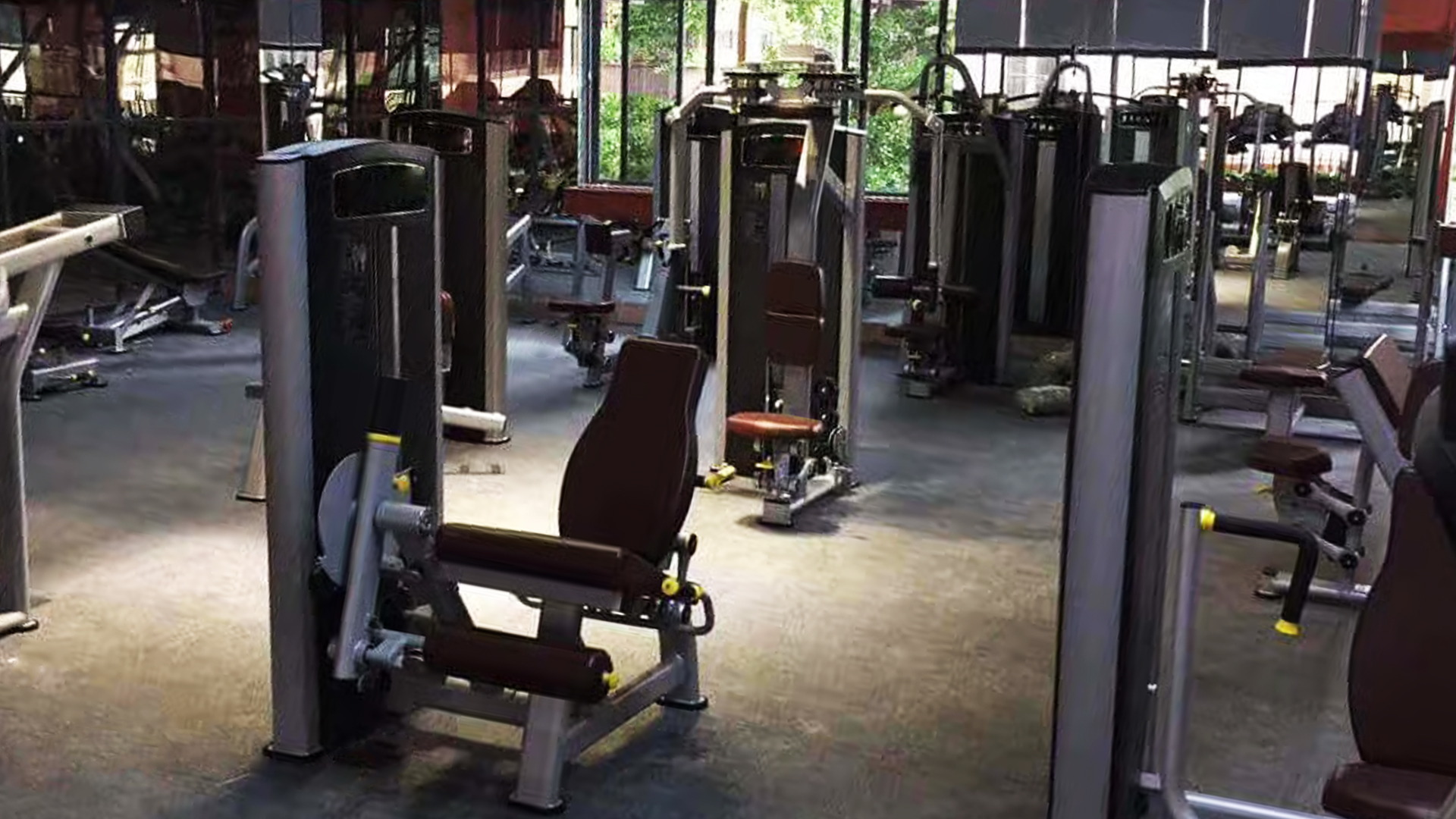 Iron Forge Gym